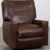 USA Premium Leather Furniture 9397 Ancient Brown All Leather Power Recliner