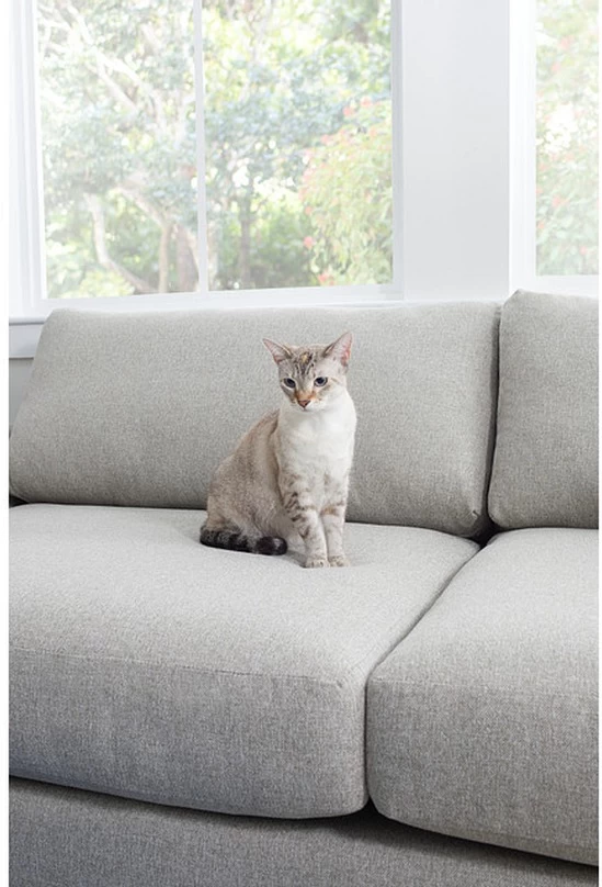 Kevin Charles Fine Upholstery® Noah Elevation Taupe Sofa 4 Kevin Charles Fine Upholstery® Noah Elevation Taupe Sofa - Image 4