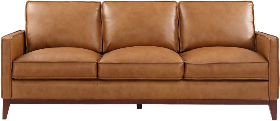 Leather Italia USA™ Georgetowne Newport Camel All Leather Sofa 1 Leather Italia USA™ Georgetowne Newport Camel All Leather Sofa