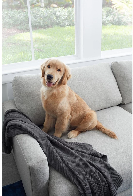 Kevin Charles Fine Upholstery® Noah Elevation Taupe Sofa 5 Kevin Charles Fine Upholstery® Noah Elevation Taupe Sofa - Image 5