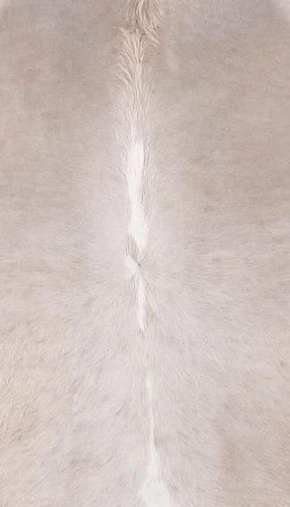 BS Trading® Natural Champagne Medium Cowhide Throw Rug 2 BS Trading® Natural Champagne Medium Cowhide Throw Rug - Image 2