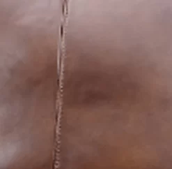 Leather Italia™ Georgetowne Butler Brown Sofa 9 Leather Italia™ Georgetowne Butler Brown Sofa -Furniture comprehensive store c070ec94 efc8 4ef0 80dd 96795d9db798