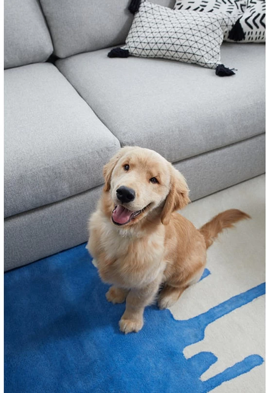 Kevin Charles Fine Upholstery® Noah Elevation Taupe Sofa 6 Kevin Charles Fine Upholstery® Noah Elevation Taupe Sofa - Image 6