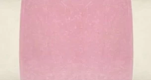 Laura Park Designs Velvet Panel Pink 14" X 36" Bolster Pillow 2 Laura Park Designs Velvet Panel Pink 14" X 36" Bolster Pillow - Image 2