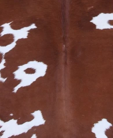 BS Trading® Natural Brown/White Medium Cowhide Throw Rug 2 BS Trading® Natural Brown/White Medium Cowhide Throw Rug - Image 2