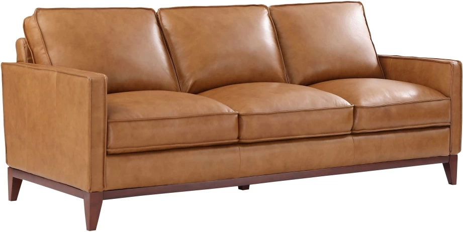 Leather Italia USA™ Georgetowne Newport Camel All Leather Sofa 2 Leather Italia USA™ Georgetowne Newport Camel All Leather Sofa - Image 2